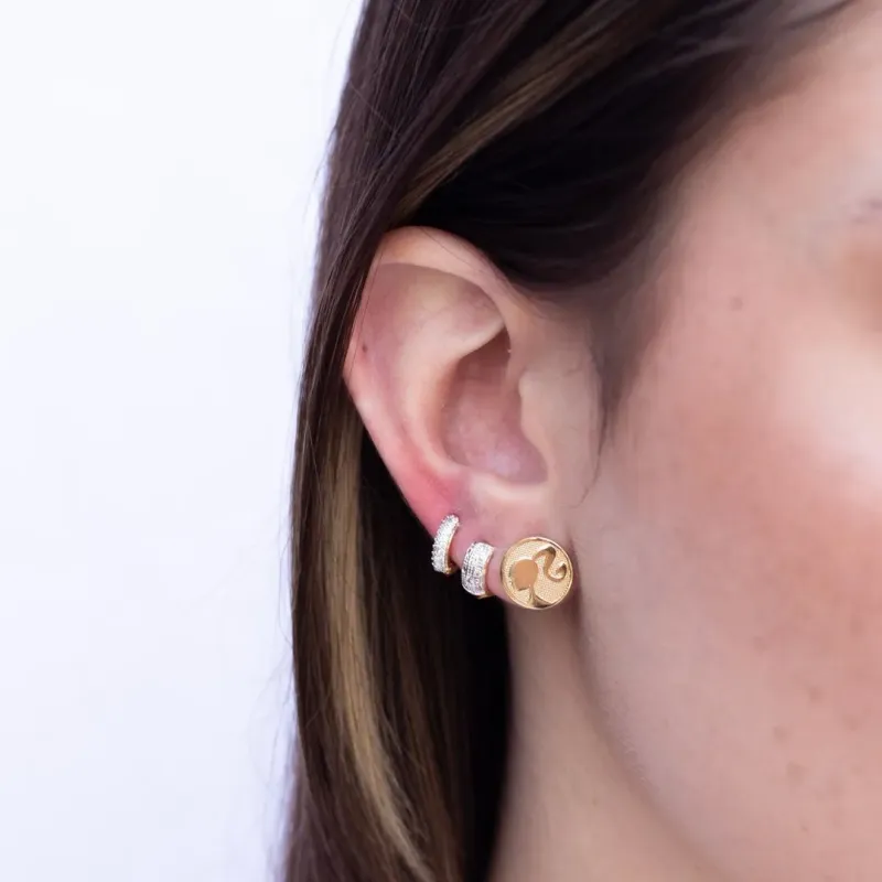 BRINCO ARGOLA PEQUENA ZIRCONIA CRISTAL MISTA- BANHADO A OURO 18K BRINCO ARGOLA PEQUENA ZIRCONIA CRISTAL MISTA- BANHADO A OURO 18K