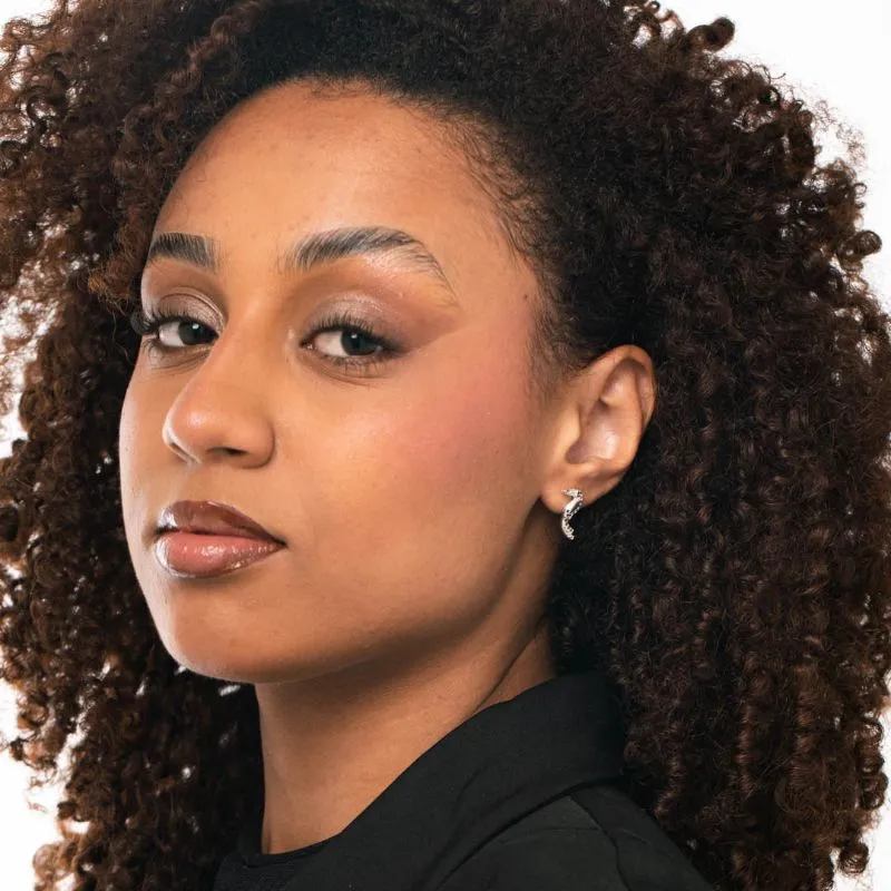 BRINCO TUCANO BORDA CRAVEJADA ZIRCÔNIA COLORIDA DE TARRACHA - BANHADO A PRATA 925