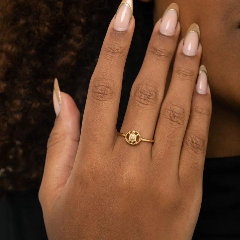 ANEL ARO LISO TARTARUGA LISA PONTILHADA Nº23 - BANHADO A OURO 18K